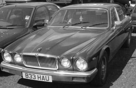 my pld jag rip