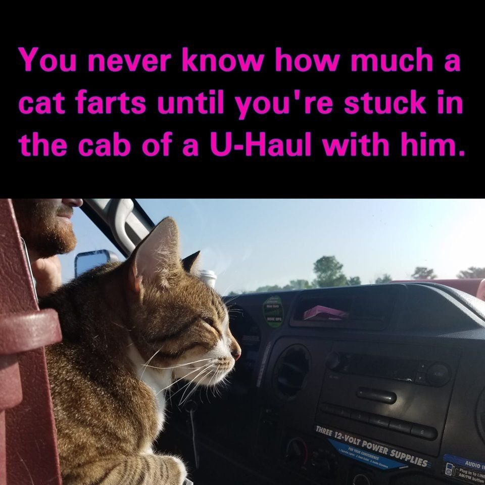 a_6a3df4060e558a9189d9a6d2aa75f37cc54e72d7.jpg