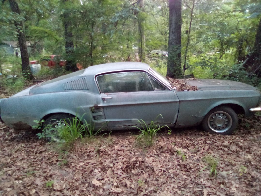 1967 Ford Mustang for Sale in WEST MONROE, LA Collector 1967 Ford Mustang for Sale in WEST MONROE, LA Collector