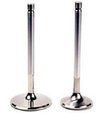 Ferrea 6000 Series Competition Intake Valves  for sale $123.76 