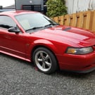 2000 Mustang GT Track / HPDE - Fun, Impeccable Workhorse