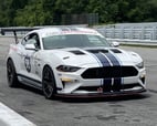 2020 Ford Mustang GT 6 Speed PP1 HPDE Race Car, 1,800 Miles  for sale $69,995 