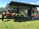 2019 2 horse Equine Motorcoach