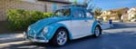 1963 1/2 Volkswagen Beetle