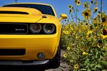 2010 Dodge Challenger 