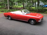 1965 Chevrolet Corvair  for sale $15,295 