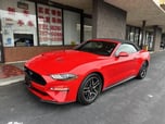 2020 Ford Mustang  for sale $25,498 
