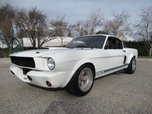 1966 Shelby Mustang 