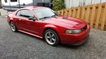 2000 Mustang GT Track / HPDE - Fun, Impeccable Workhorse  for sale $27,000 