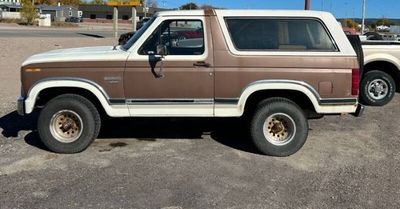 1986 Ford Bronco  for sale $13,895 