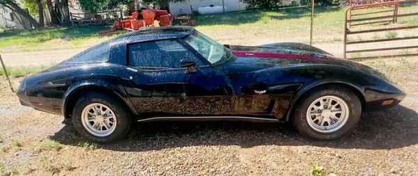 1979 Chevrolet Corvette  for Sale $25,995 