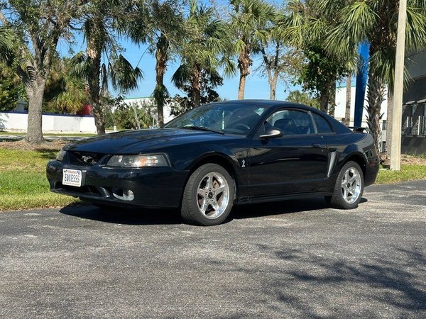 2001 Ford Mustang Cobra  for Sale $24,995 