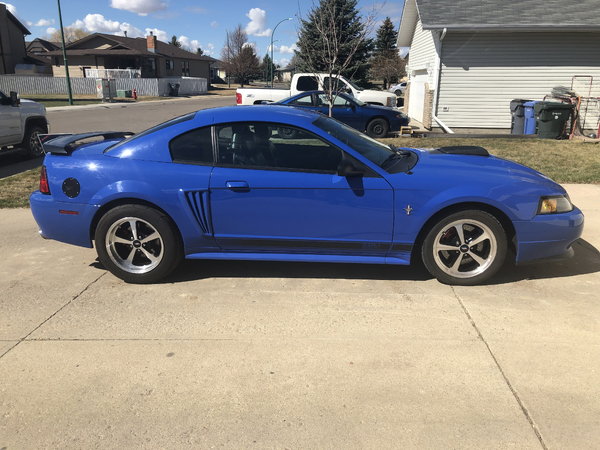 2003 Ford Mustang  for Sale $42,900 