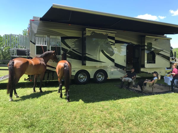 2019 2 horse Equine Motorcoach  for Sale $479,000 