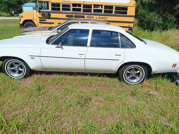 1977 Chevrolet Malibu  for Sale $12,000 