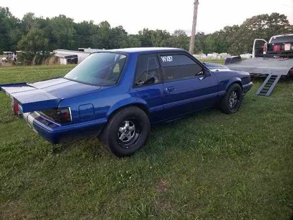 mustang fox  for Sale $18 