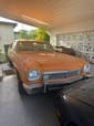 1974 Buick Apollo  for sale $6,495 