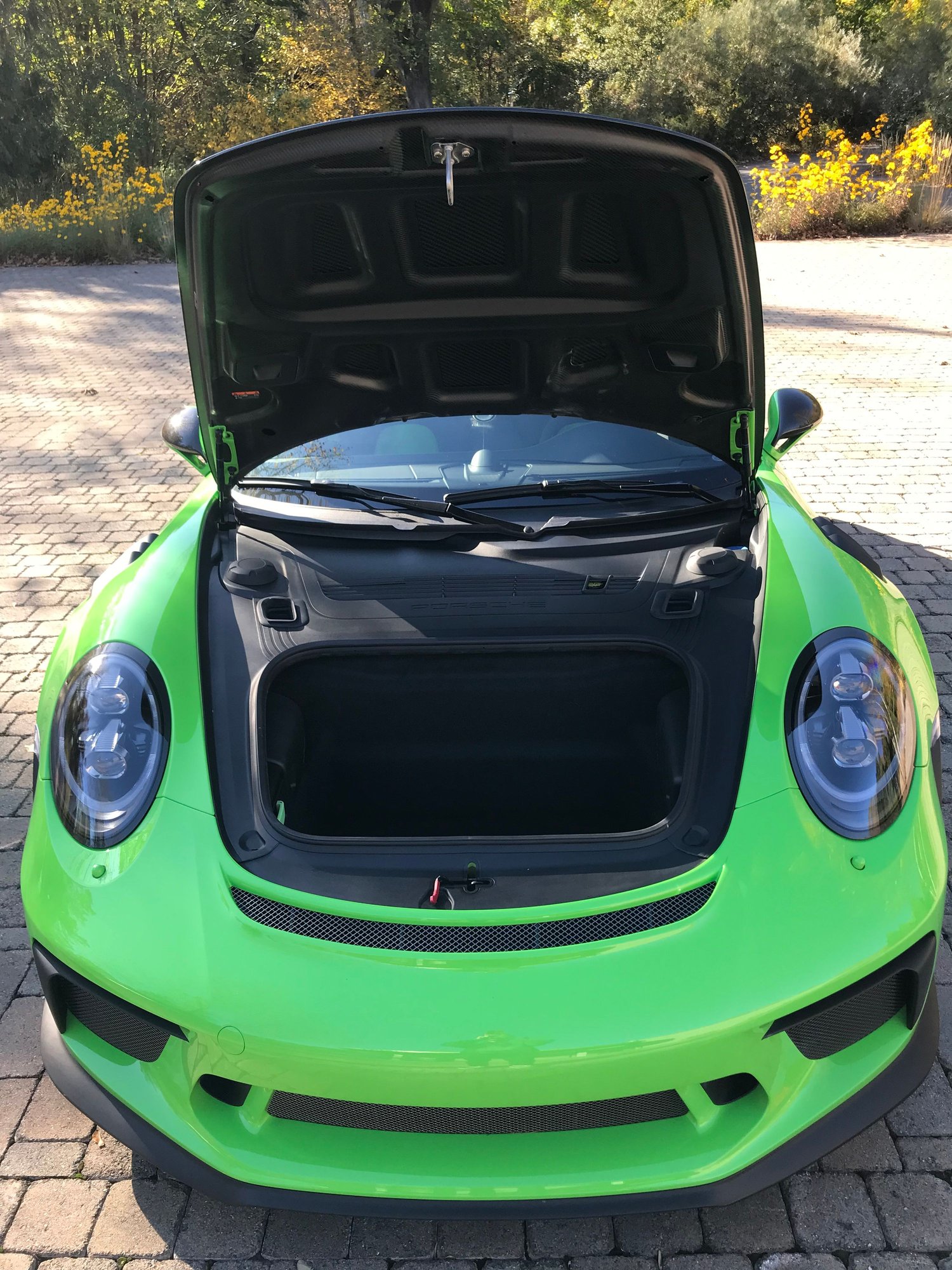 2019 Porsche GT3 - 2019 Porsche GT3RS Lizard Green Weissach - Used - VIN WP0AF2A96KS164212 - 510 Miles - 6 cyl - 2WD - Manual - Coupe - Other - Monkton, MD 21111, United States