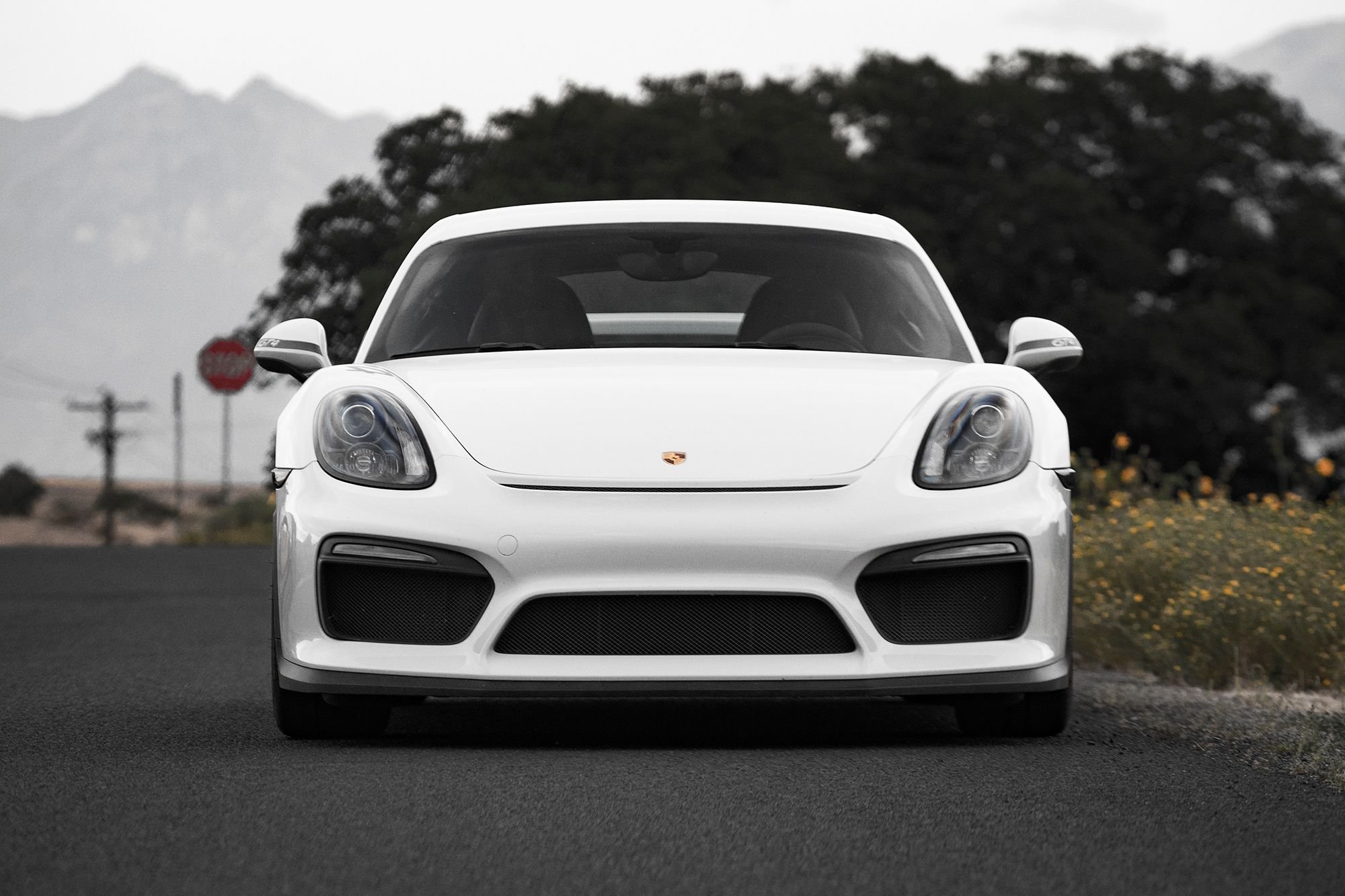 2016 Porsche Cayman GT4 - 2016 Porsche Cayman GT4 White PCCB , Carbon Buckets ~12k Miles - Used - VIN WP0AC2A88GK197638 - Salt Lake City, UT 84047, United States
