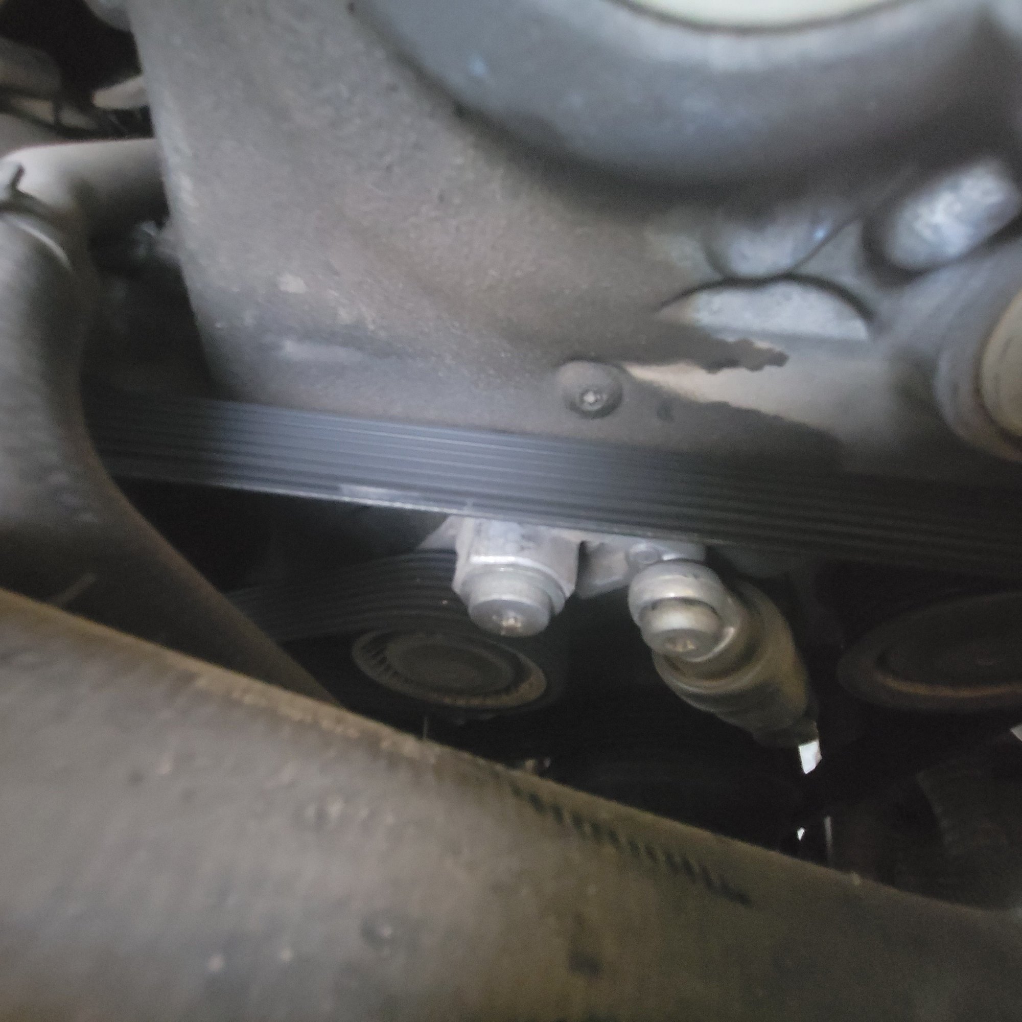 Serpentine Belt Rennlist Porsche Discussion Forums