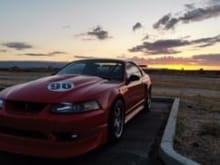 1999 Ford Mustang R Clone build underway with Gen 3 Coyote. 500RWHP on E85 track day ride