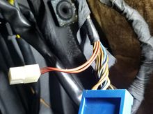 Alarm bypass in blue connector.