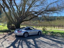 Porter Creek in Russian River. 