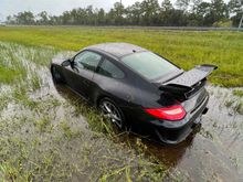In the median.