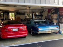 Variety is best!