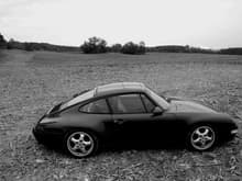 I love the simple lines of the 993.  The textured feild emphasizes the graceful lines of this car