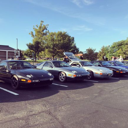 Sharks in their natural habitat...at the Dulles Holiday Inn