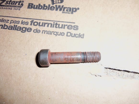 New pinch bolt has powdery rust on it, but does not appear to be damaged or bent.