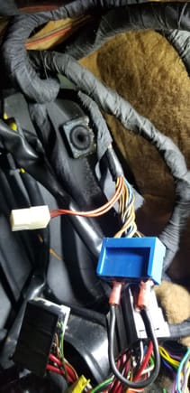 Alarm bypass in blue connector.