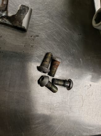Nasty, oxidized screws, where they weren't cleaned up in the media blaster. Even so, you can see how pitted the heads were
