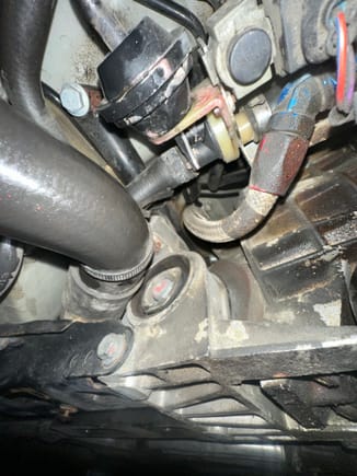 A shot under Mr Black - he will need tranny and motor mounts at a bare mimimum.