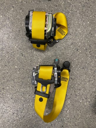 Racing Yellow Belts
