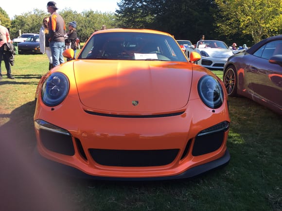paint to order GT3RS