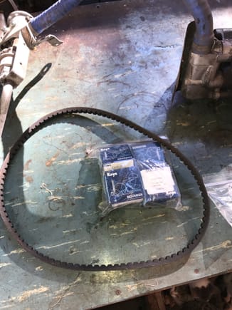 17 month old, 2000 mile Contitech air pump/water pump drive belt and all new bearings for the air pump.