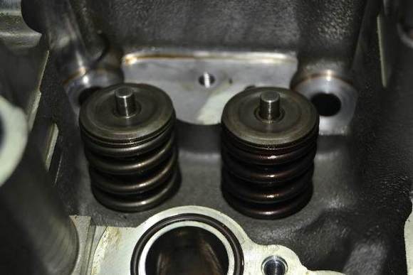 Intake Springs