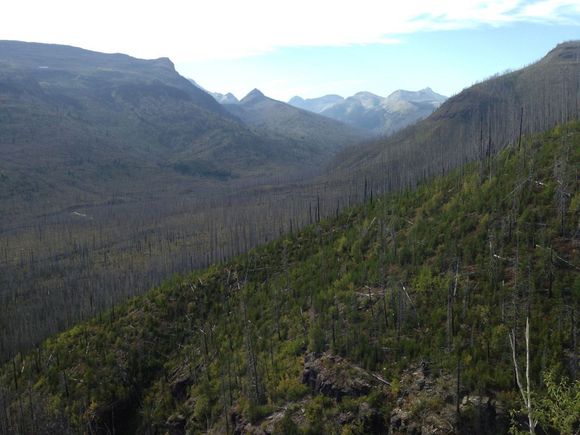 Glacier National Park, MT