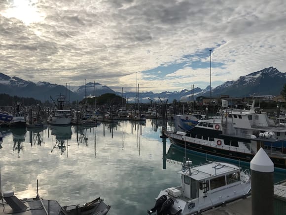 Harbor and with Prince William Sound in the distance some of the greatest halibut, silvers and shrimp the size of mini lobsters