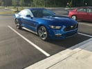 2017 Mustang GT