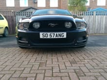 couldn't resist the plate, so stang or 5.0 stang