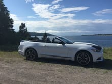 Overlooking a bay on the Atlantic Ocean  in Newfoundland  Canada