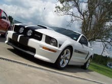 Mustangs 011