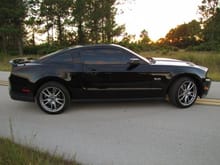 Mustang 512