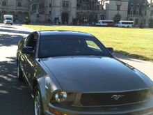 Mustang's at the Mansion 2010