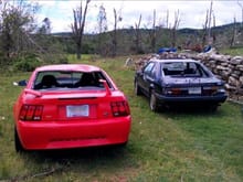 Mustang Photo Archive