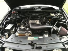 Mustang's Engine