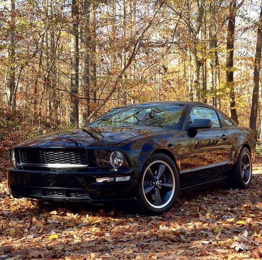 Autosock Winter Driving aid - The Mustang Source - Ford Mustang Forums